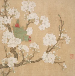 Perroquet et insecte parmi les fleurs de poirier
